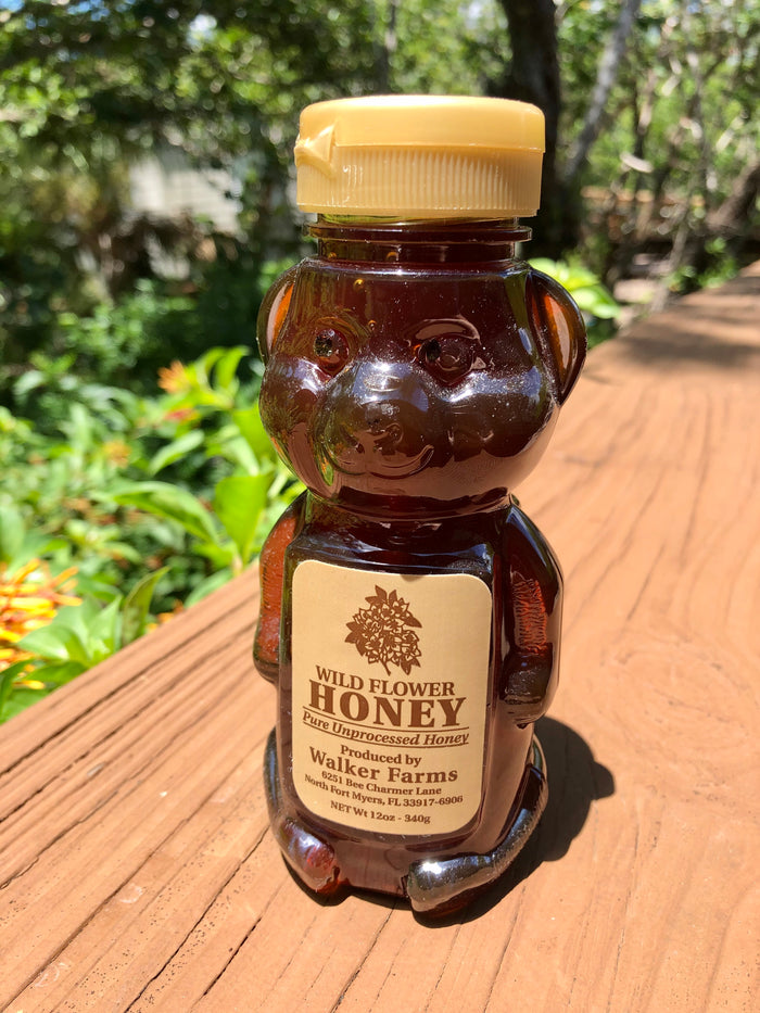 Local Honey - 12oz Bear - 4 Distinct Flavors