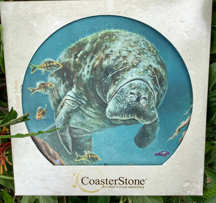 Absorbent Stone Trivet - Manatee I