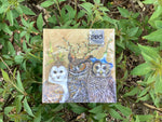 Owl Family Paper Napkins - Two Sizes