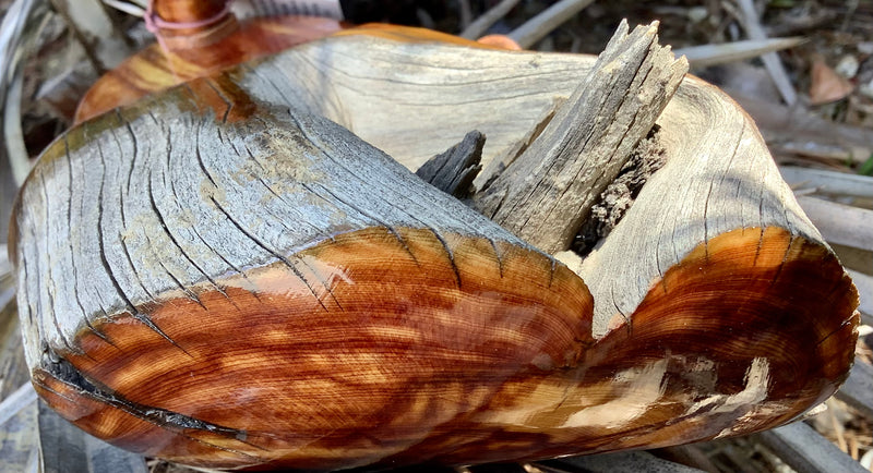 Hand Carved Cedar Wood Duck - Large