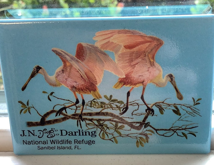 New Spoonbill Magnet