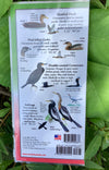 Sibley's Waterbirds of Sanibel & Captiva Folding Guide