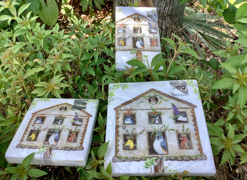 House Party Paper Napkins - Three Sizes