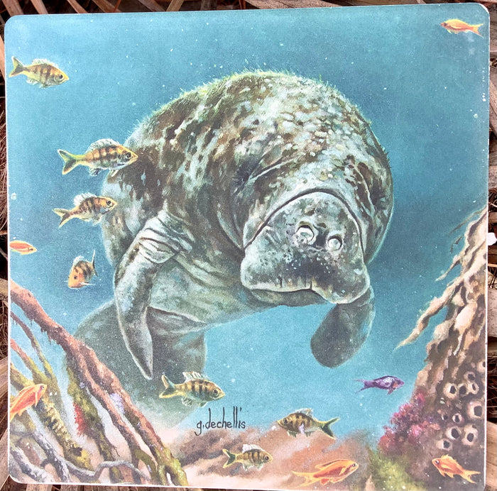 Absorbent Stone Trivet - Manatee I