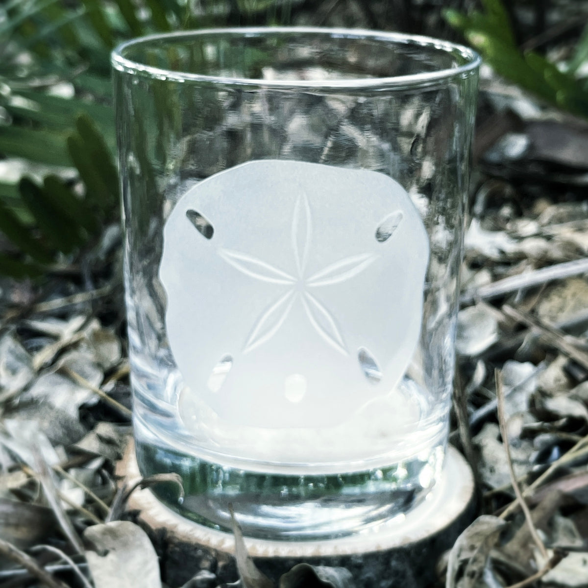 Etched Double Old-Fashioned Glass Sandollar