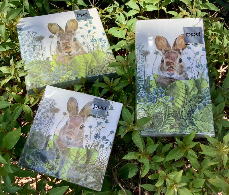 Chou Chou Bunny Paper Napkins - Three Sizes