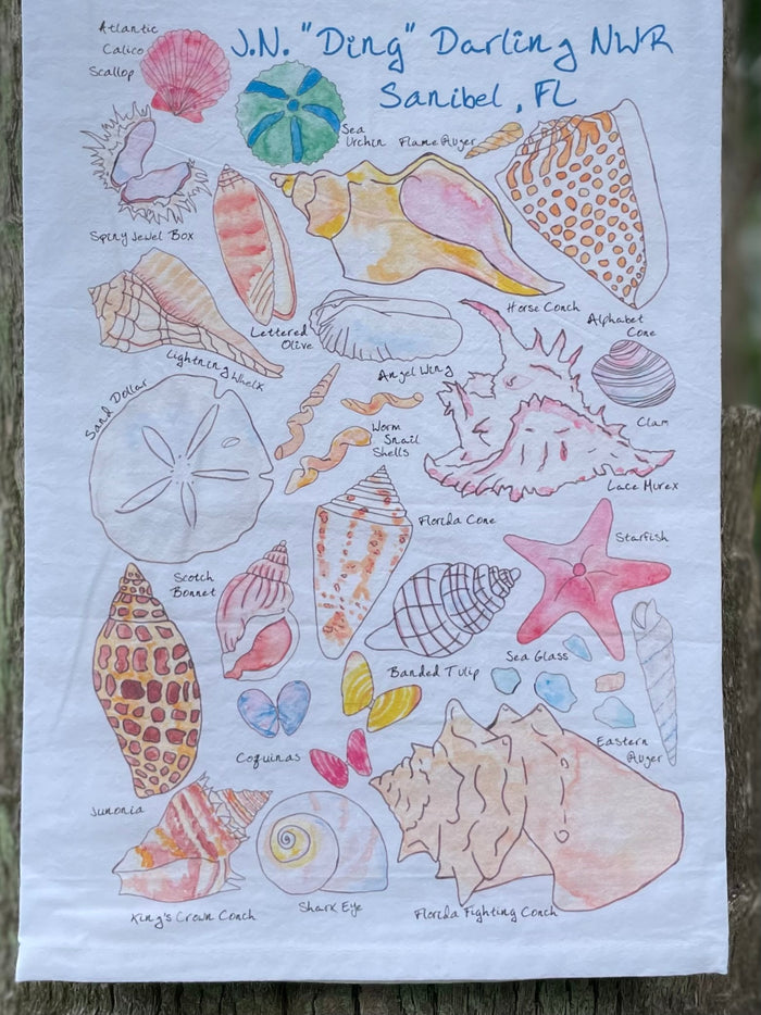 Sanibel Shells Tea Towel - J.N. "Ding" Darling NWR, Sanibel, FL