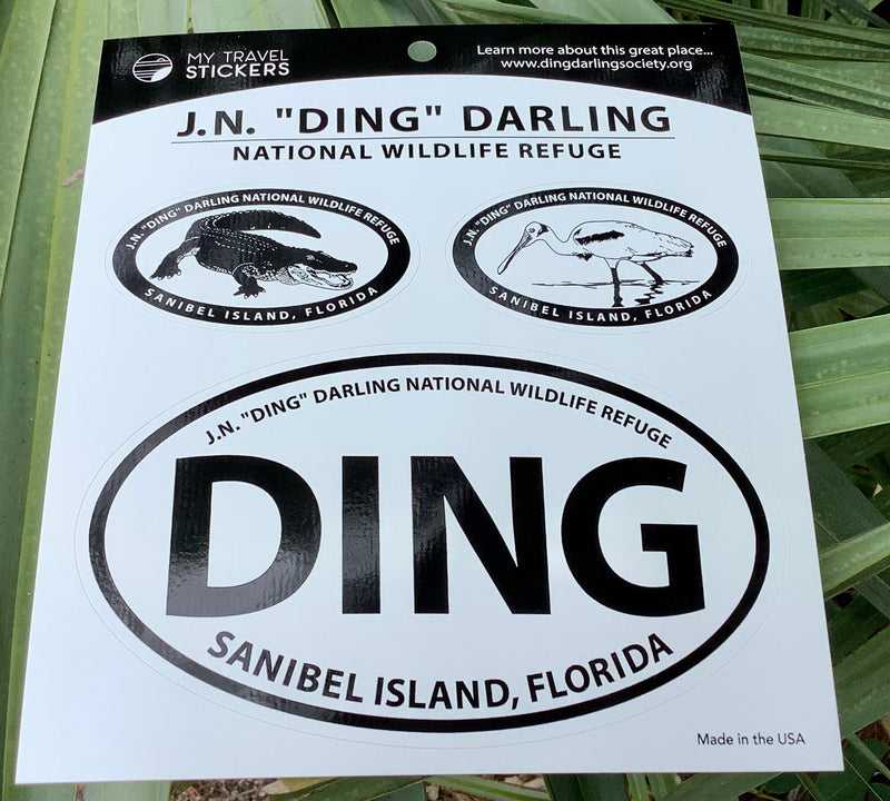 "DING" Triple Decal