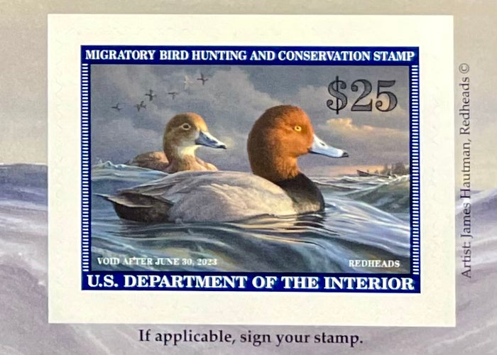 Federal Duck Stamp - Purchase to Support Wildlife and Habitat Conservation