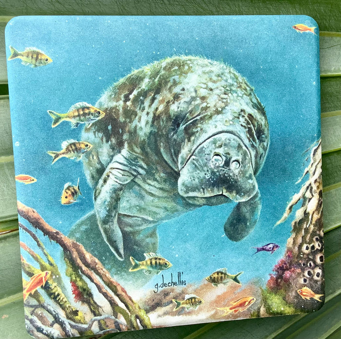 Absorbent Stone Coaster Set - Manatees - Set of 4 - Square