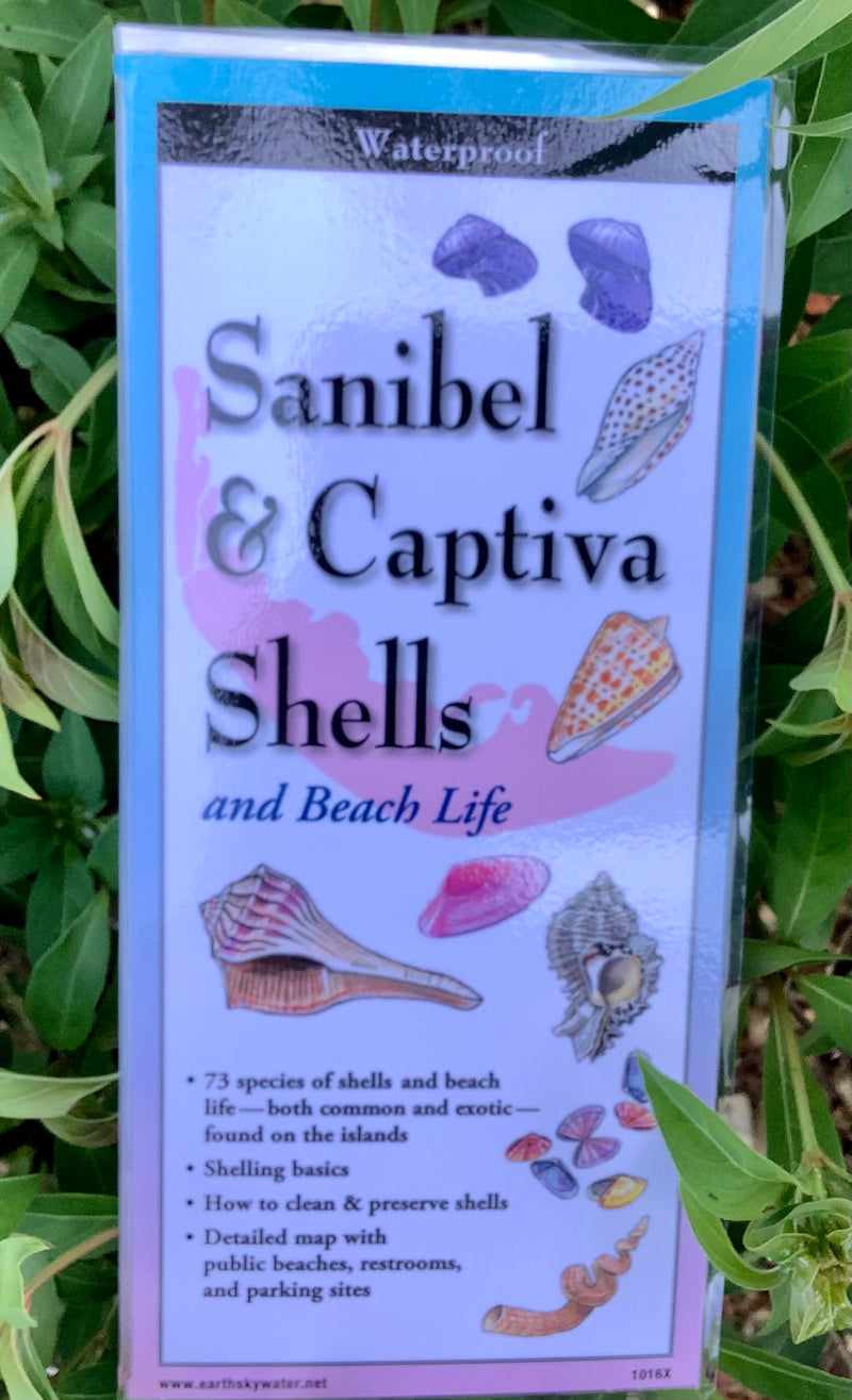 Sanibel & Captiva Shells Folding Guide