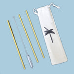 Stainless Steel Drinking Straw 3 Pack & Cleaner